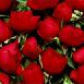 8 Марта - Долгожданный праздник ВЕСНЫ и солнца!