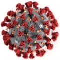 Как коронавирус может повлиять на климат