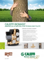 CALEFFI Biomass 2851