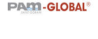 Логотип Pam-Global